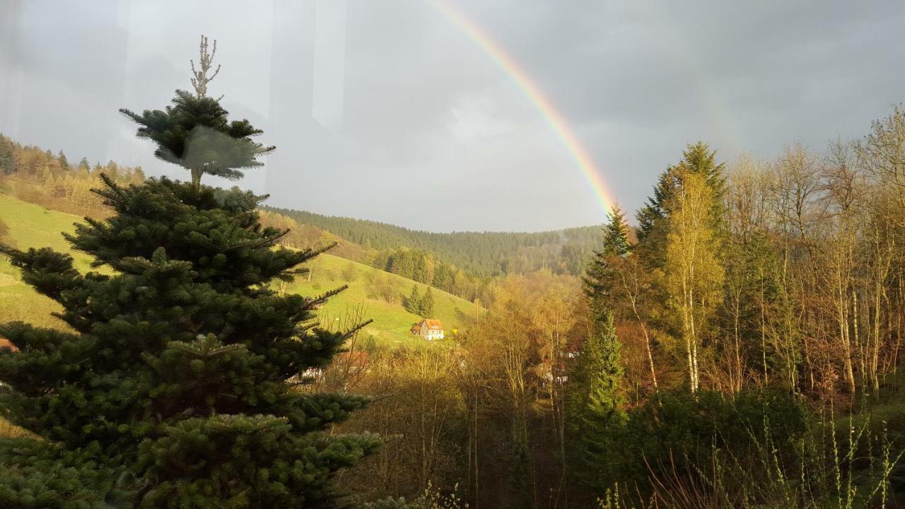 Fewo Bergblick Osterode am Harz Esterno foto
